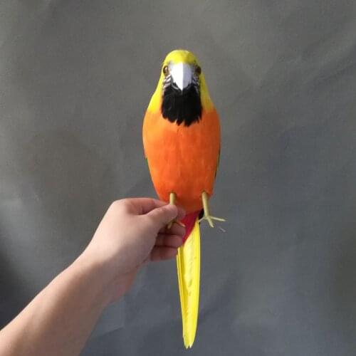 New real life parrot model foam&feather simulation yellow&orange parrot bird gift about 40cm xf2325