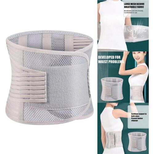 Gray Breathable Removable Trainer Belt Support Back Support Waist Spine Belt Fitness to Reduce Lumbar Muscle Strain