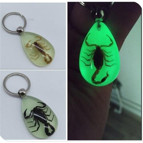 Motorcycle style scorpion luminous wear key chain crafts accessories for YAMAHA TTR600 XT250X TRICKER DT230LANZA