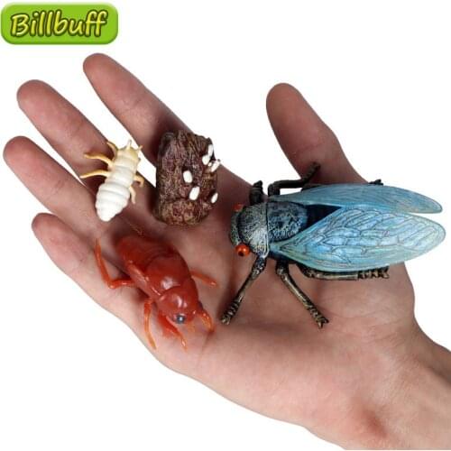 4pcs Simulation Animal PVC Cicada Growth Cycle Model Action Figures Collection Miniature Cognition Educational Toys for Children