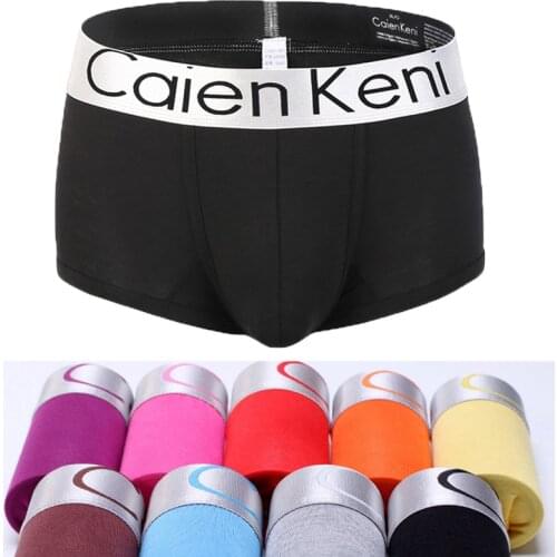 10 Pcs/lot Brand Mens Underwear Breathable Cotton Boxer Men Soft Boxer Bomme Silver Edge Boxershorts Men Modal Male Underpants