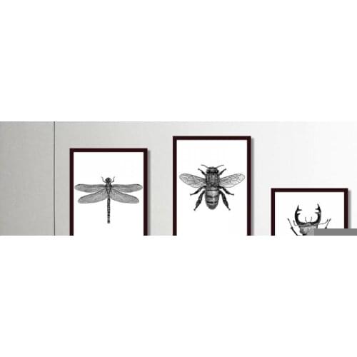 Black and White Picture Simple Insect Illustration Canvas Painting On The Wall Beetle Butterfly Poster Frameless Mural Decor