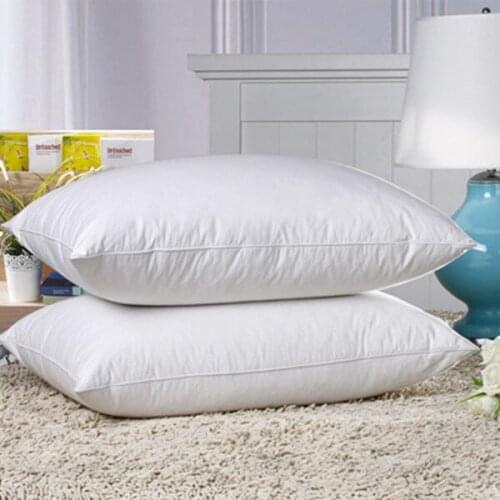 Free shipping Child goose down pillow & down pillow &comfortable and soft paypal accepted