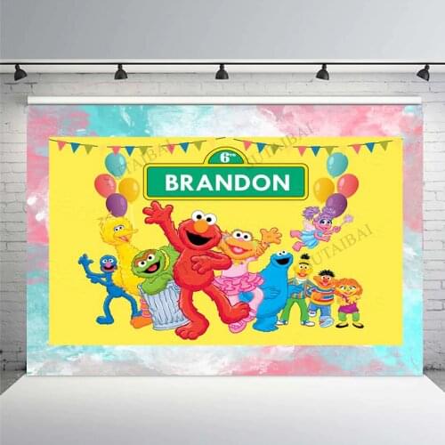 Photography Backdrops Sesame Street Pink Girl Party Happy Birthday Custom Photo Studio Backdrop Background Vinyl Photoshoot