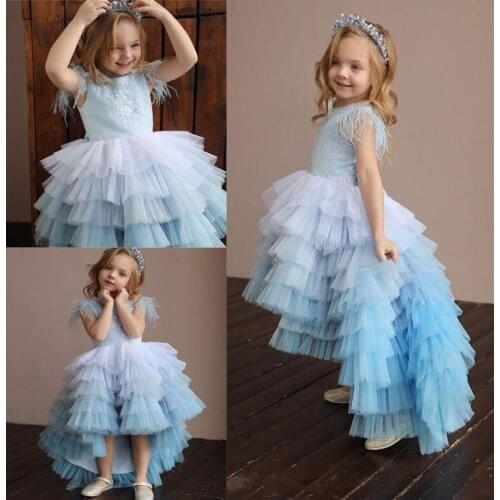 Girls Light B;uie First Communion Dresses High Low Puffy Girls Birthday Party Celebrations Dresses Custom