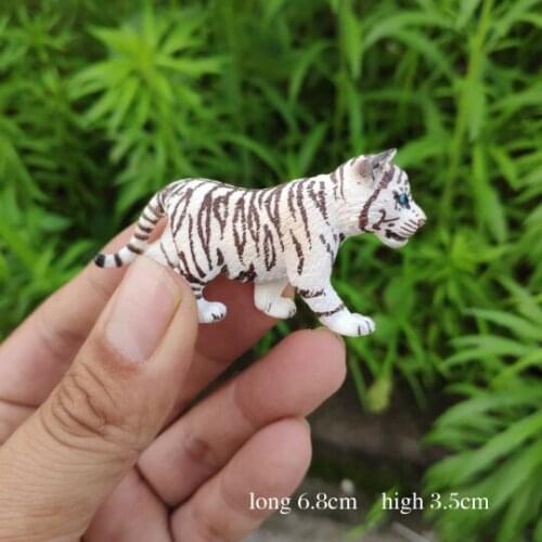 CE identification White tiger Baby Bengal tiger Siberia tiger Animal simulation Collection of toys