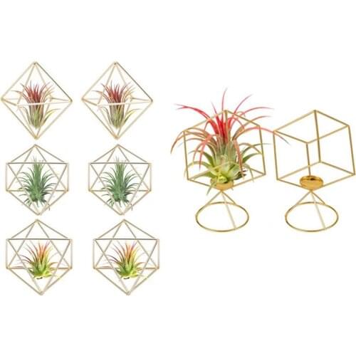 8 Pack Air Plant Holder Tillandsia Air Plants Stand Hanging Containers Display Racks Hanging Tabletop Himmeli Decor