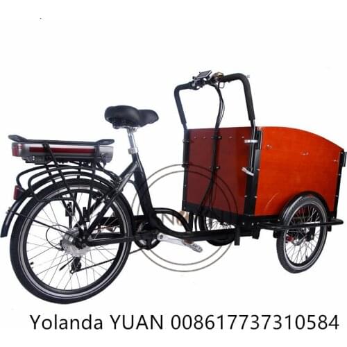 Hot Selling Fashion Retro Manned Children Tricycle Pedal Cargo Bike Electric Goods Courier Trike Outdoor Fruit Mobile Cart