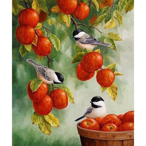 DIY 5D Diamond Painting Red Apples & Birds Full Square Diamond Mosaic Embroidery Sale Picture Of Rhinestones For Festival Gifts