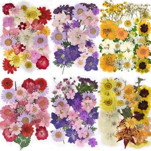DIY Dried Flower Resin Fillings Real Flower for Home Decoration Nail Art Handicrafts Jewelry Casting Mold Making Resin Crafts