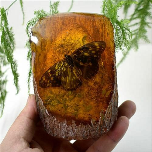 Amber King Fossil Plants Insects Characteristics Butterfly Decorative Pieces