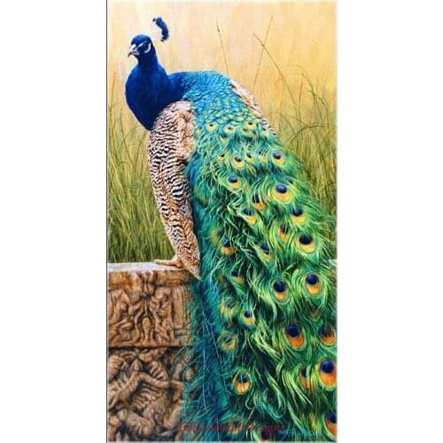 Needlework for embroidery DIY French DMC - Counted Cross Stitch Kits 14 ct Oil painting - Royal Splendour