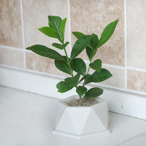 New Silicone Mold Big Size Hexagons Concrete Fleshy Flower Pot Candlestick Mold Ceramic Clay Handmade 3D DIY Crafts Ceramic Mold