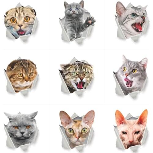 Cartoon cat Kitten 3d Wall Stickers Home Decorations Toilet Washroom Decals Kitchen Furniture 3d Decor WC Mural Art Posters