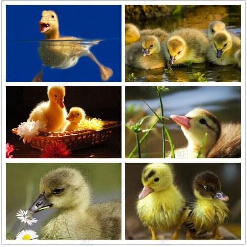 5D Diamond Painting Cute Yellow Duck Cross Stitch Diy Home Wall Art Decoration Modern Animal Diamond Embroidery Painting Gift