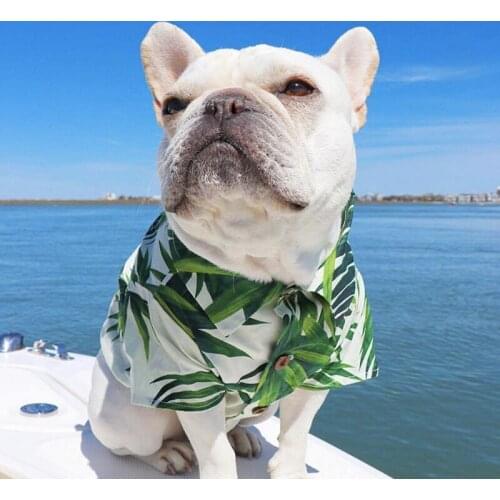 Ins Summer Hawaii Dog Beach Shirt Sweet Leaf Bananas Print Dogs Clothes Pet Travel Tshirts Cute French Bulldog Dog Cat Blouse