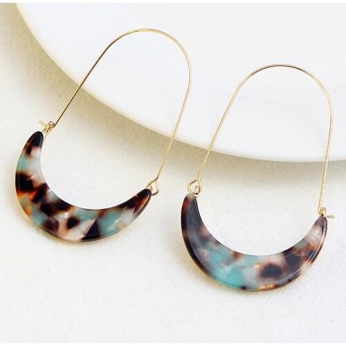Fashion vintage resin Earrings Alloy Crescent Acetate Acrylic Leopard Plate Large Ear Hook Female Models New 2019 wholesale
