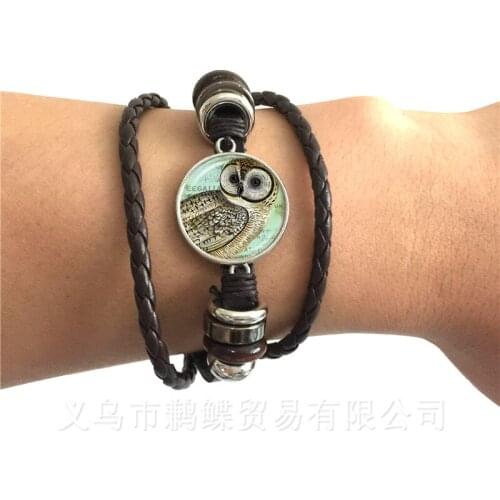 Owl Pattern Bracelet Insect Art Picture Glass Cabochon Dome Black/Brown 2 Color Leather Cords Adjustable Bangle Gift For Men