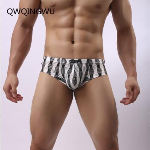 Promotion Underwear Men Sexy Briefs Adult Breathable Mesh Elastic Low Waist Spandex Underwear Underpants Apparel Newest Briefs
