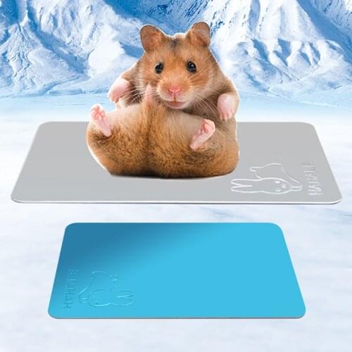 Hamster heat sink metal embossed ice mat mat rabbit my Neighbor Totoro summer cooler mat cooling plate
