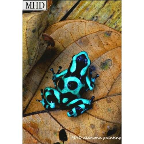 New 5d diy diamond painting frog picture for home decor 3D full square diamond mosaic rhinestone kit