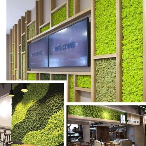 Preserved Moss Wall Decoration 19 Colors Real Preserved Moss No Maintenance Required Naturally Preserved Moss Office Home Decor