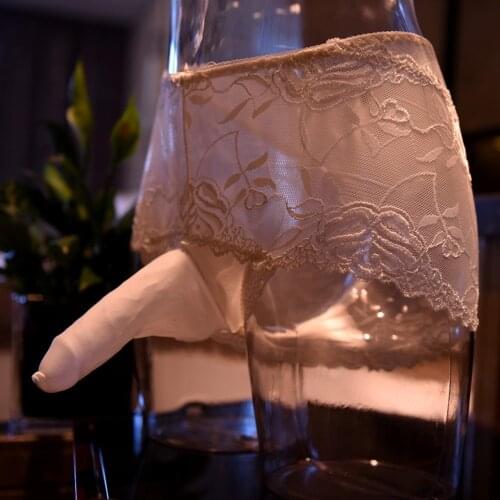 Penis Sleeve Brief Men Sexy Lace Underwear Sissy Transparent Mesh Panties Mid Waist Breathable Underpant Sexy Erotic Lingerie