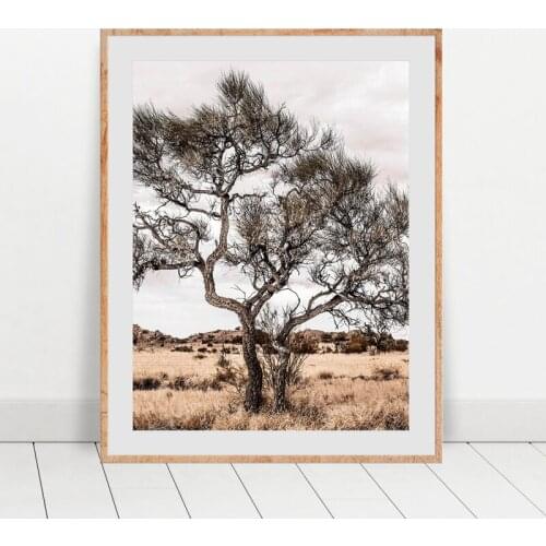 Australian Outback Landscape Wall Art Print Desert Tree Photography Poster Canvas Painting Wall Picture Boho Home Room Decor