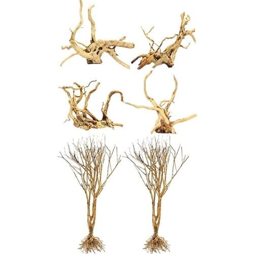 2x Fish Tanks Snakes Terrarium Environments Small Aquarium Driftwood & 4x Aquarium Driftwood Natural Wood Reptile Branch