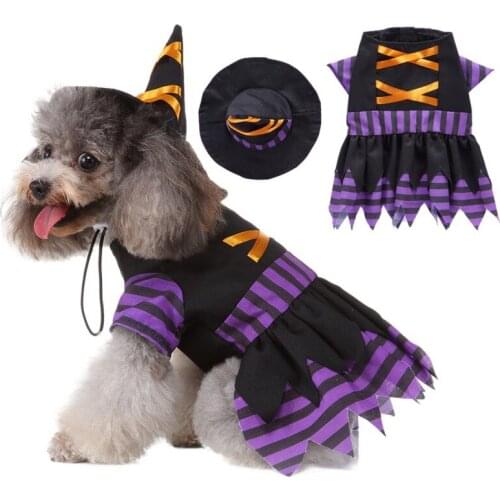 Funny Cat Clothes Witch Costume Halloween Dog Toy Costume Set with Hat Halloween Clothes Dressing Up Cat Party Pet Clothing