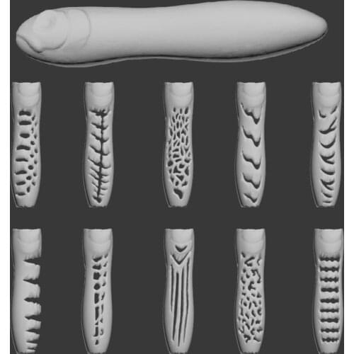 WLure Hard Plastic 3D Stencil for Topwater Zig-Zag Fishing Lure UPW769