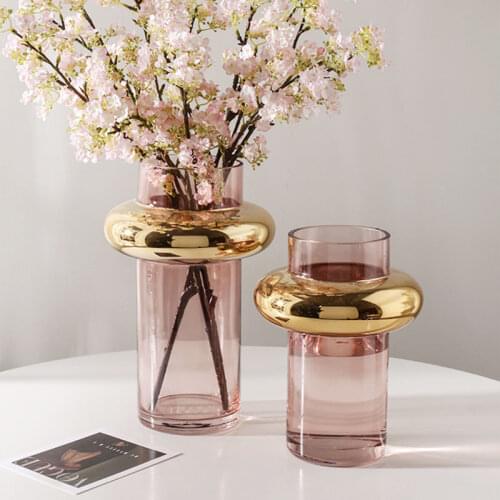 Nordic Light Luxury Gold Painted Glass Vase Simple Transparent Hydroponic Flower Arrangement Creative Design Ornament Home Decor
