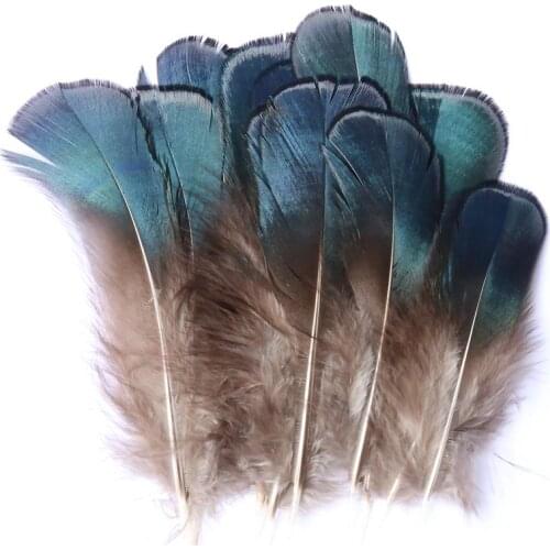 200Pcs/Lot 4-8cm Lady Amherst Iridescent Blue Pheasant Plumage Feathers Crafts Jewelry Fly Tying,Lady Amherst Feathers