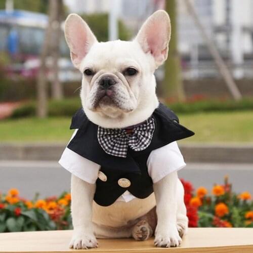 Gentleman Dog Shirt Cat Clothes Wedding Party Suit Formal Shirt For Small Dogs Bowtie Tuxedo Pet Outfit Cat Spring Summer Suits