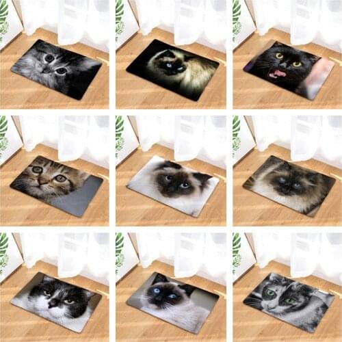 Personality Cat Doormat Home Mat Rectangle Floor Mat Super Soft Absorbent Bathroom Door Mat Door Entrance Mat 40cmx60cm