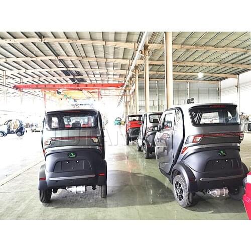 Electric Car Adult Scooter Tricycle Mini Car Electric Battery Vehicle Three Wheel COC