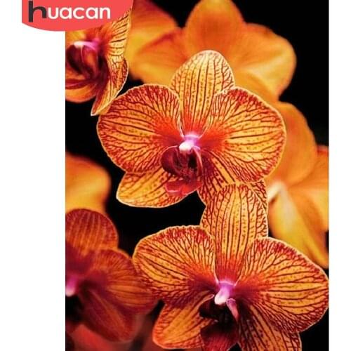 HUACAN Diamond Painting Orchid Flower Full Square/round Diamond Embroidery Mosaic Floral House Decoration Crystal Hobby