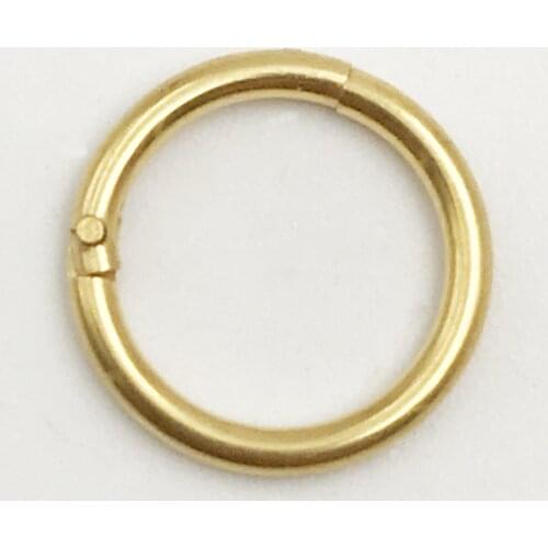 2021Hinged Septa Clicker Segment Nasal Ring Lip Ear Cartilage Ear Spiral Body Piercing Jewelry Surgery Steel Ring Hoop