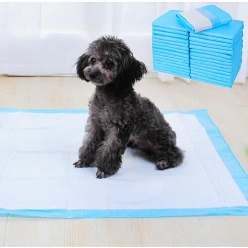 New Super Absorbent Pet Diaper Dog Training Pee Pads Disposable Healthy Nappy Mat For Cats Dog Diapers Cage Mat Pet Supplies