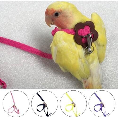 Anti-bite Flying Training Rope Parrot Bird hamster tortoise lizard traction rope Ultralight Harness Leash Portable Pet Plaything