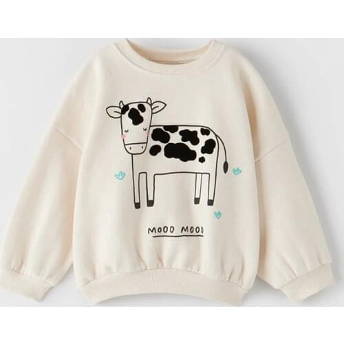 Kids Hoodies Bebe Boys Tops Fleeces Sweatshirts 2020 Terry Cotton Sweater Cartoon tshirt Tees Blouses Baby Boy Clothes Outerwear