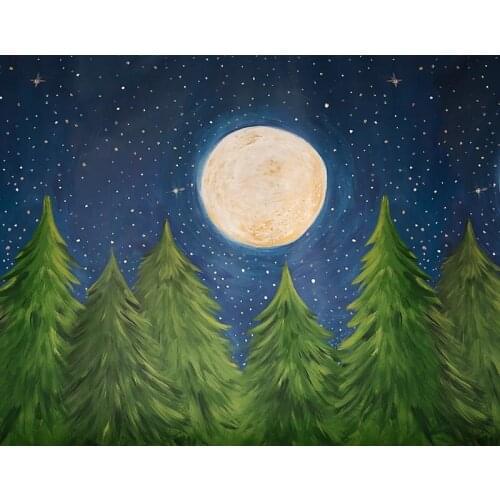 Children backgrounds baby shower photo vinyl Moon star sky Photography backdrops for photo Studio accessories photophone NB-185