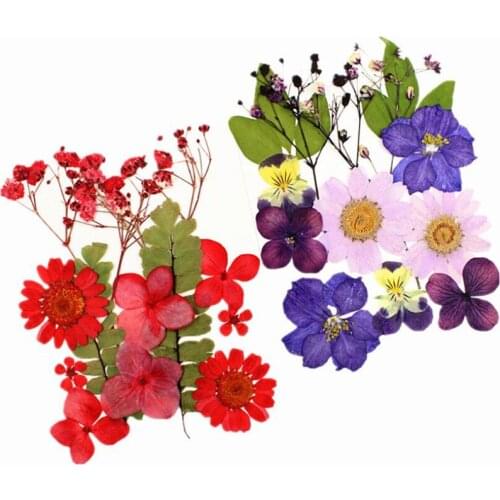 12pcs/lot Real Dried Flower Dry Plants For Candle Epoxy Resin Pendant Necklace Jewelry Making Craft DIY Accessories