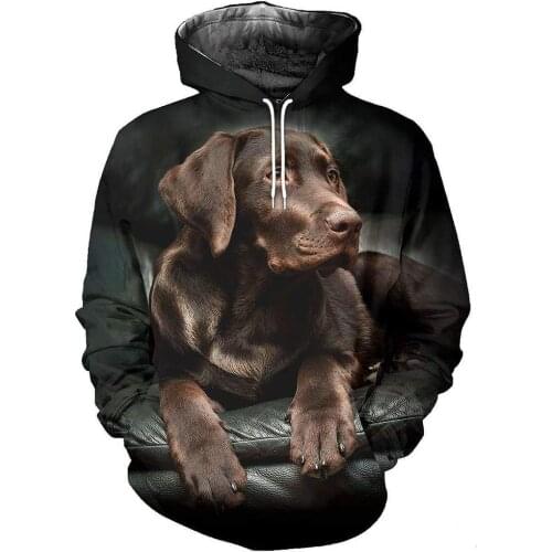 Labrador Dog 3D Printed Jacket Men/women Casual Streetwear Hoodies Boys Hip Hop Kawaii Hood Sweatshirts Mens Hipster Clothes-553