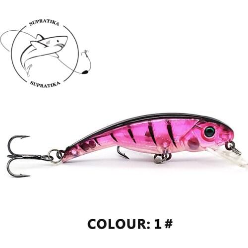 10cm/6.3g Bionic Minnow Floating Wobbler Fishing Lure Hard Bait Lifelike 3D Eye Anti-Corrosion Freshwater Plastic Fishing Bait
