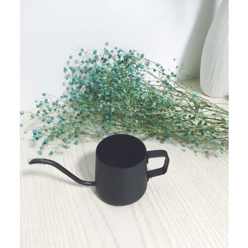 Long spour drip coffee pot/stainless steel coffee kettle 250ml