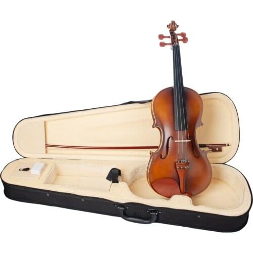 Acoustic Violin 4/4 Full Size Fiddle with Bow Hard Case Rosin Jujube Wood