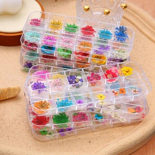 12Grid/Box Colorful Real Dried Flowers Plants For Fillings Epoxy Resin Silicone Molds DIY Garment Sewing Craft Making Supplies
