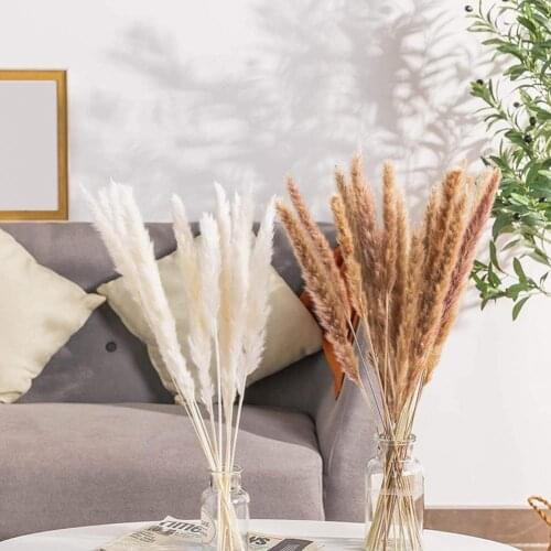 Helpful Nice-looking Natural Dried Pampas Grass Artificial Flowers Room Decorations for Living Room