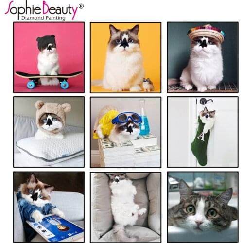 Diy diamond painting cross stitch animal cute cat diamond embroidery full square diamonds mosaic of rhinestones diamond painting